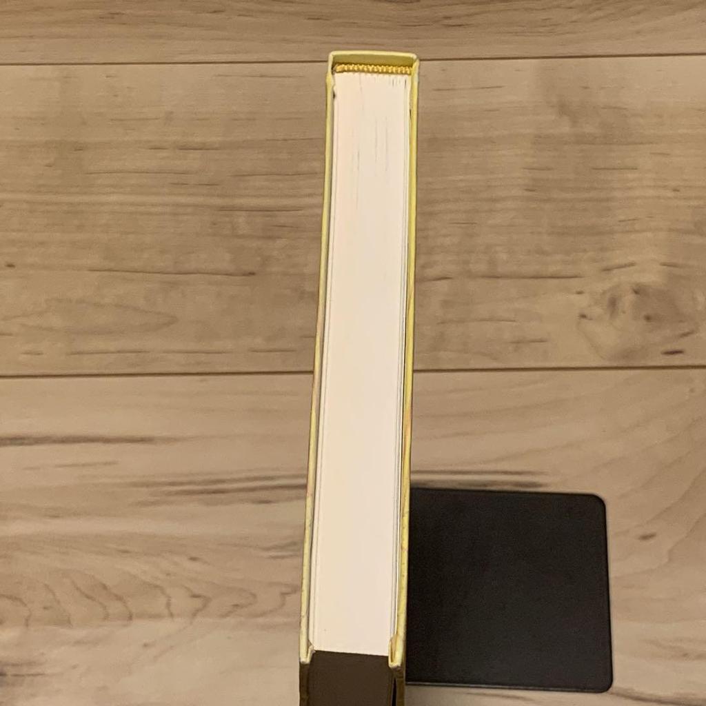 [USED] Rare Yuichi Yokoyama Published by VIAJE YUICHI YOKOYAMA APAAPA