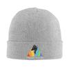 Imagine Dragons Warm Knitted Cap Hip Hop Bonnet Hat Autumn Winter Outdoor Beanies Hats for Men Women Adult