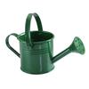 New Metal Watering Can Garden Flower Kettle Mini Small Water Spraying Pot Large Capacity For Kids Adult