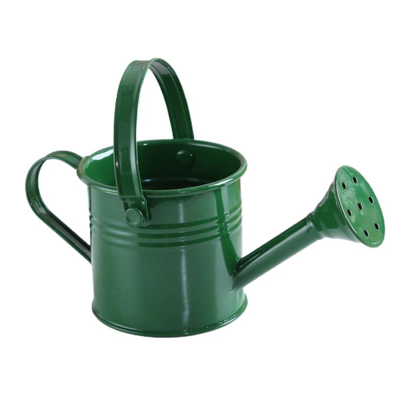 New Metal Watering Can Garden Flower Kettle Mini Small Water Spraying Pot Large Capacity For Kids Adult