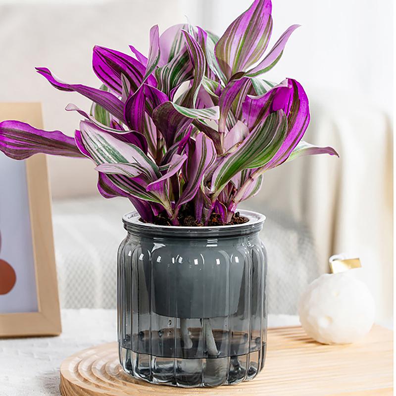 Runde selbstbewässernde Blumentöpfe, Hydrokultur-Blumentopf, Vase, selbstabsorbierender Wasserpflanzer für Zuhause, Bonsai, Tischdekoration für den Innenbereich