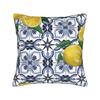 Lemon and Blue Pattern Pillow Cover  Comfy Cushion Cover Fashion Pillow Case For Living Room Bed Chair