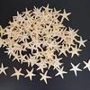 Sea Shells Size:0.5-3Cm 100Pcs Mini Starfish Craft Decoration Natural Sea Stars