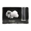 Pekingese, Pekinese, Peke – Pen Stand, Crystal Organiser with Dog Photo | Art-Dog