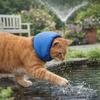 Orejeras Impermeables para Perros Protección Auditiva Reducción de Ruido Capucha Calmante para Mascotas Comodidad Elástica Gorro Elástico para Baño de Mascotas Aseo
