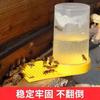 Clear Visible 500ml Bee Feeder Honey Bee Feeders Drinking Water Waterer Watering Bees Tools Supplies Feeding Plastic Bee Drinker Tool