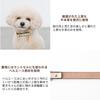 Circle Charm Leather Dog Small Medium Dogs x Genuine Cow Adjustable Going Out monchéri [Bicolor Color] Collar, Dogs, (M/Pink Ivory), Leather,