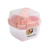 Double Layer Fruit Salad Box With Sealed Lid For Picnic And Office Use