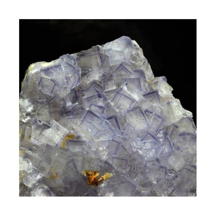 Pierres et Minéraux. Fluorite. 792.5 ct. Yanci, Igantzi, Navarre, Espagne.