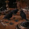 Halloween Theme Party Decor Realistic Crows Figurine, Lifelike Feathered Raven Statue for Haunted House, Scary Creepy House Ornament Props,