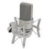 Studio Condenser Microphone 26mm Diaphragm Microphone with Shock Mount XLR Cable Windscreen for Recording Podcasting
