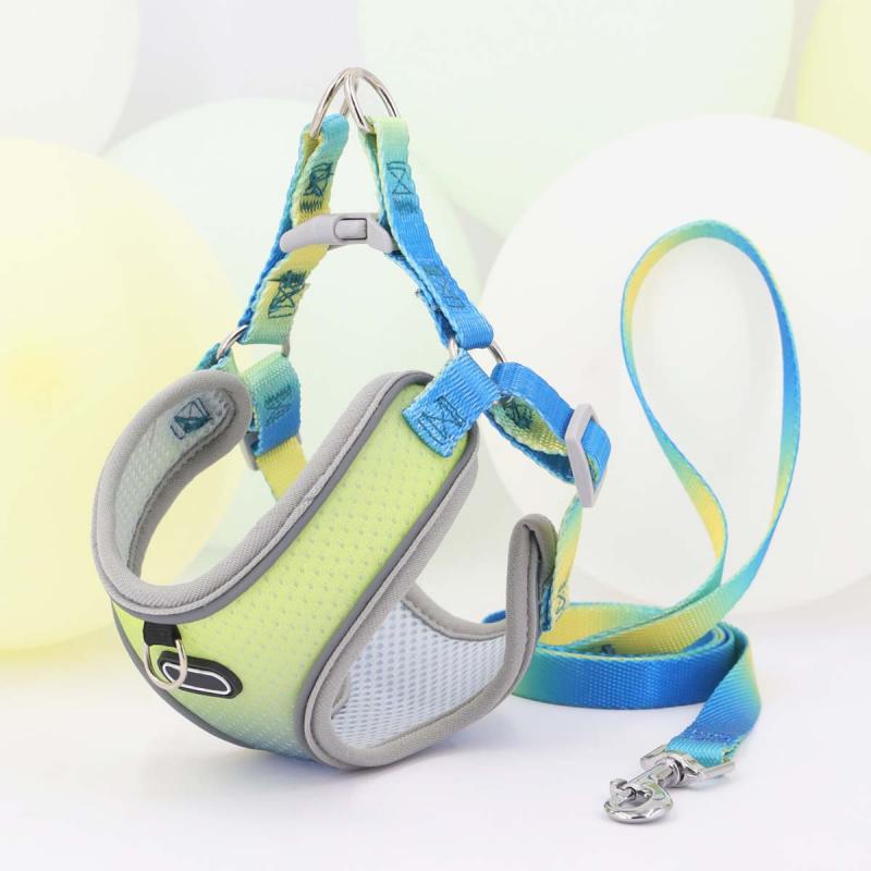 Escape Proof Cat Harness and Leash Set Adjustable Mesh Dog Harness Vest Puppy Pet Walking Lead Leash Small Dogs Cats Kitten