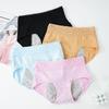 Women's Plus Size Physiological Pants Mid Waist Antibacterial Leakproof Physiological Panties Embroidered B… More
