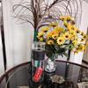 Portable Double-Layer Glass Tea Infuser Cup