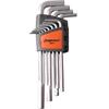 Steel Shield Extended Hex Wrench Set