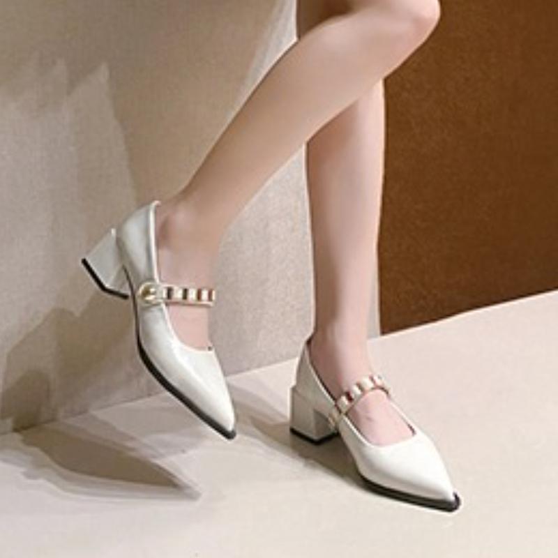 Fashion French Pointed Toe Mary Jane Single Shoes Women's 2025 Fall New Shallow Mouth Block Heel Pump Shoes
