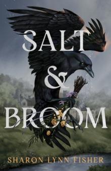 Salt Amp Broom by Sharon Lynn Fisher Paperback Book 9781662515699