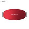 Pangao PG-2643RL Waist Massager