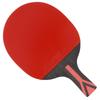 Double Happiness H8006 8-Star Table Tennis Racket