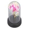 Colorful Light Up Rose in Glass Dome Birthday Gifts Ambient Lighting Light Up Artificial Flower Rose for Anniversary