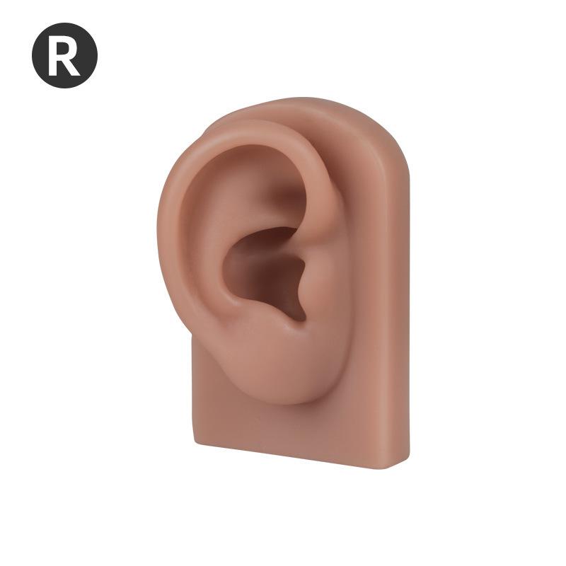 Silicone Ear and Nose Model for Practice & Ear Picking Tool