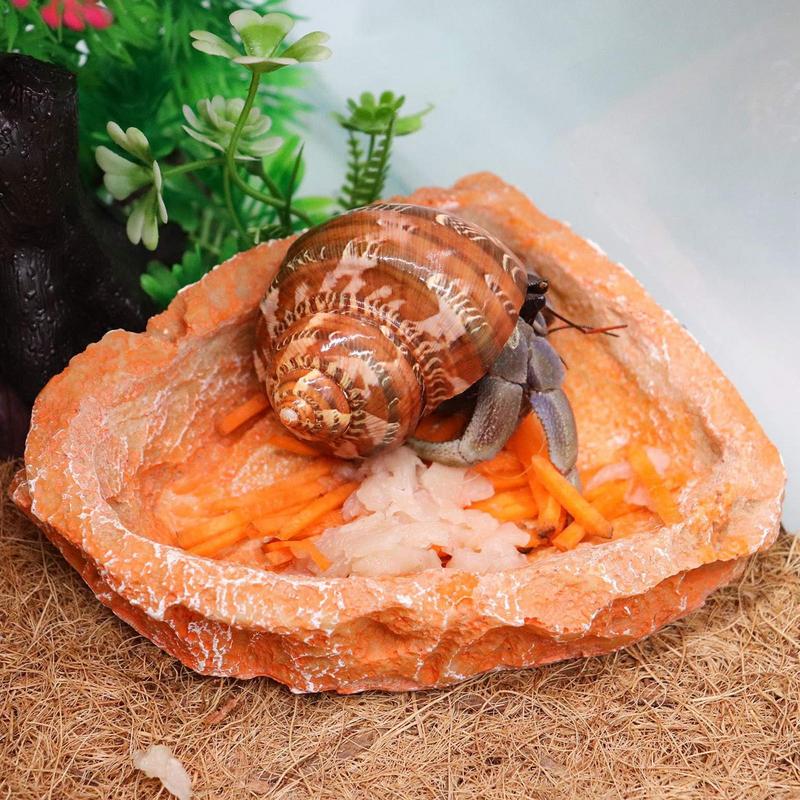 

Reptile Water Dish 2pcs Resin Reptile Food Water Dishes Reptile Water Bowls Tank Aquarium Accessory Reptile Feeding Dish For United States