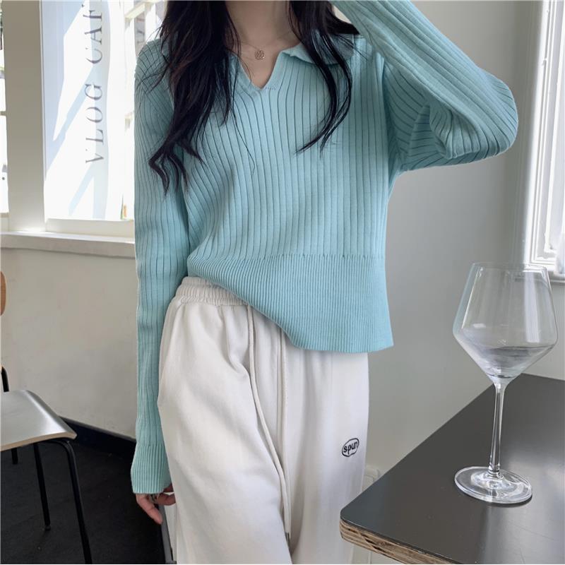 Women's Polo Collar Knitted Base Shirt, Autumn/Winter 2025, New Design Niche Loose Long Sleeve Sweater Top