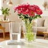 Modern Flower Vase Nordic Style Deep Water Flower Pot New Flower Wake Up Vase  Home Decoration