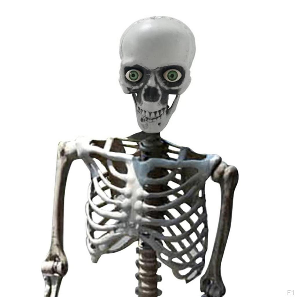 Halloween Skeleton Full Body Posable Joints Decor Durable Model Scary Skeletons