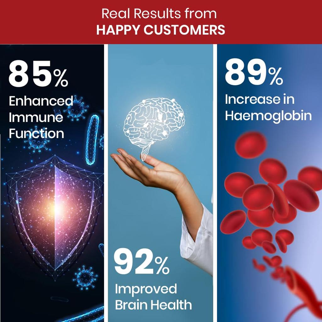 Vlado's Himalayan Organics Plant Based Vitamin B6 Capsules For Daily Wellness Energy Support And Brain Function 120 Capsules