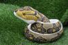 Takeoff Hub Realistic snake stuffed toy