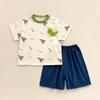 2026 Cute Cartoon Stripe Two-Piece Set: Short Sleeve T-shirt & Shorts for Small/Medium Children - Antibacterial, Class A.