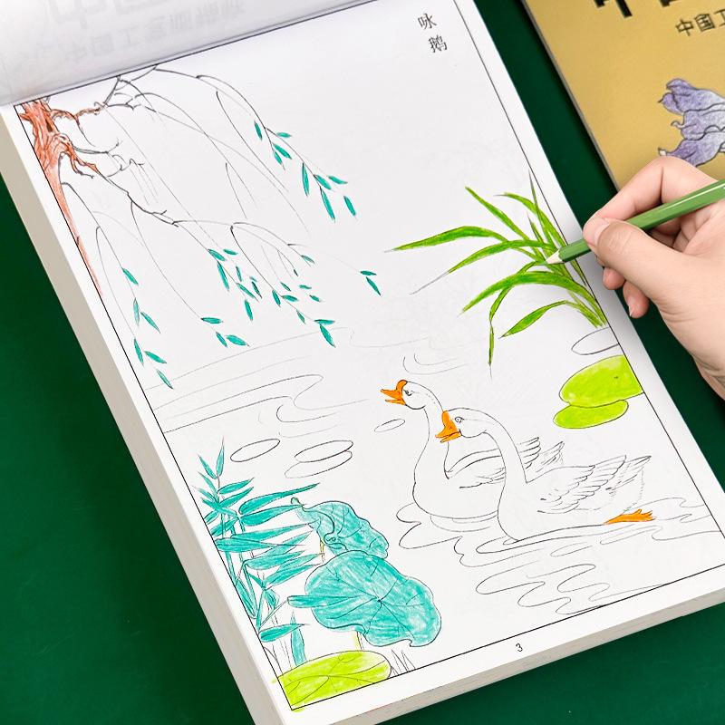 Kinesisk målningsövningsbok för barn Nybörjarbokset Lär dig traditionell linjeteckning med forntida dikter Figurer Fåglar