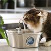 M-Modern-Cat Water Fountain With Water Level Window,Stainless Steel Automatic Pet Water Fountain,Dog Water Dispenser Durable ,US