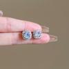 Women's 2024 Crystal Zircon Stud Earrings: Unique Dangle Style