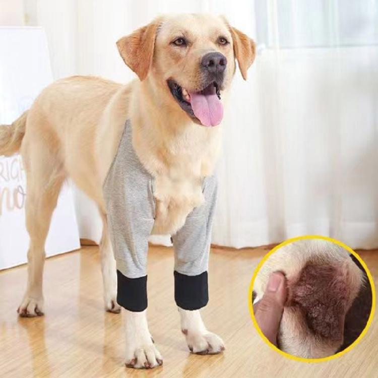 Pet Leg Hock Joint Wrap Support Aids In Healing Comfortable Compression Sleeve