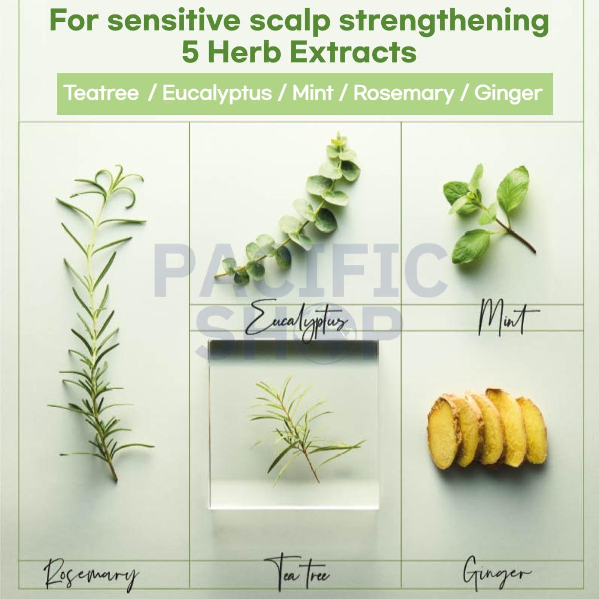 [RYO] Мужской шампунь против выпадения волос Root Gen 353 мл — фото 8