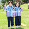 Children's School Sportswear Set - Detachable Windbreaker, Three-Piece, for Autumn/Winter.