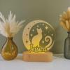 Personalized Feline Moon Lamp Unique Pet Ornament Festive Home Decor Light for Cat Enthusiasts Bedroom Bedside Ambient Lamp Gift