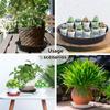 3Pcs Plastic Flower Pot Round Plant Saucer Indoor Outdoor Plastic Tray Saucers Drip Trays