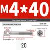 304 Stainless Steel Lead Seal Galvanized Meter Screw with Cross Hole