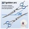 Fenice Professional 7.0/7.5/8 Inch JP440C Steel Left Hand Shears Blue Diamond Double Tail Nail Scissors Set for Pet Dog Grooming