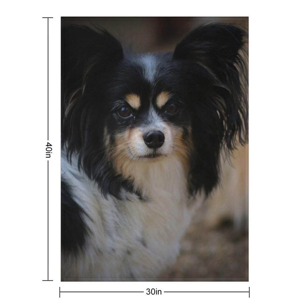 Papillon Pes Hodicí deka Termo Dětské Kempování Vintage Deky