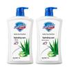 Safeguard Healthy Clean Shower Gel Aloe Scent