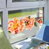 Watercolor Orange Rose Static Cling Wall Sticker for Living Room Balcony Entryway Home Decor
