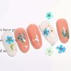 Pressed Flower 3D Nail Art Decorations Manicure Accessories Nail Art Dried Flower DIY Nail Decals