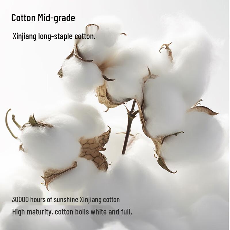 MiiOW Men's 10A Antibacterial Cotton Boxer Briefs