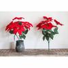2 Bundles Christmas Artificial Poinsettia Bouquets 7 Heads Fake Flowers Ornaments For Christmas
