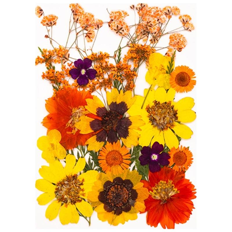 Natural Dried Flower For Epoxy Resin Molds Dry Flowers and Leaves Set for Art Craft Candle Jewelry Making Scrapbooking