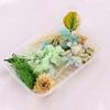 Useful Dried Flower Soft Pretty Decorative